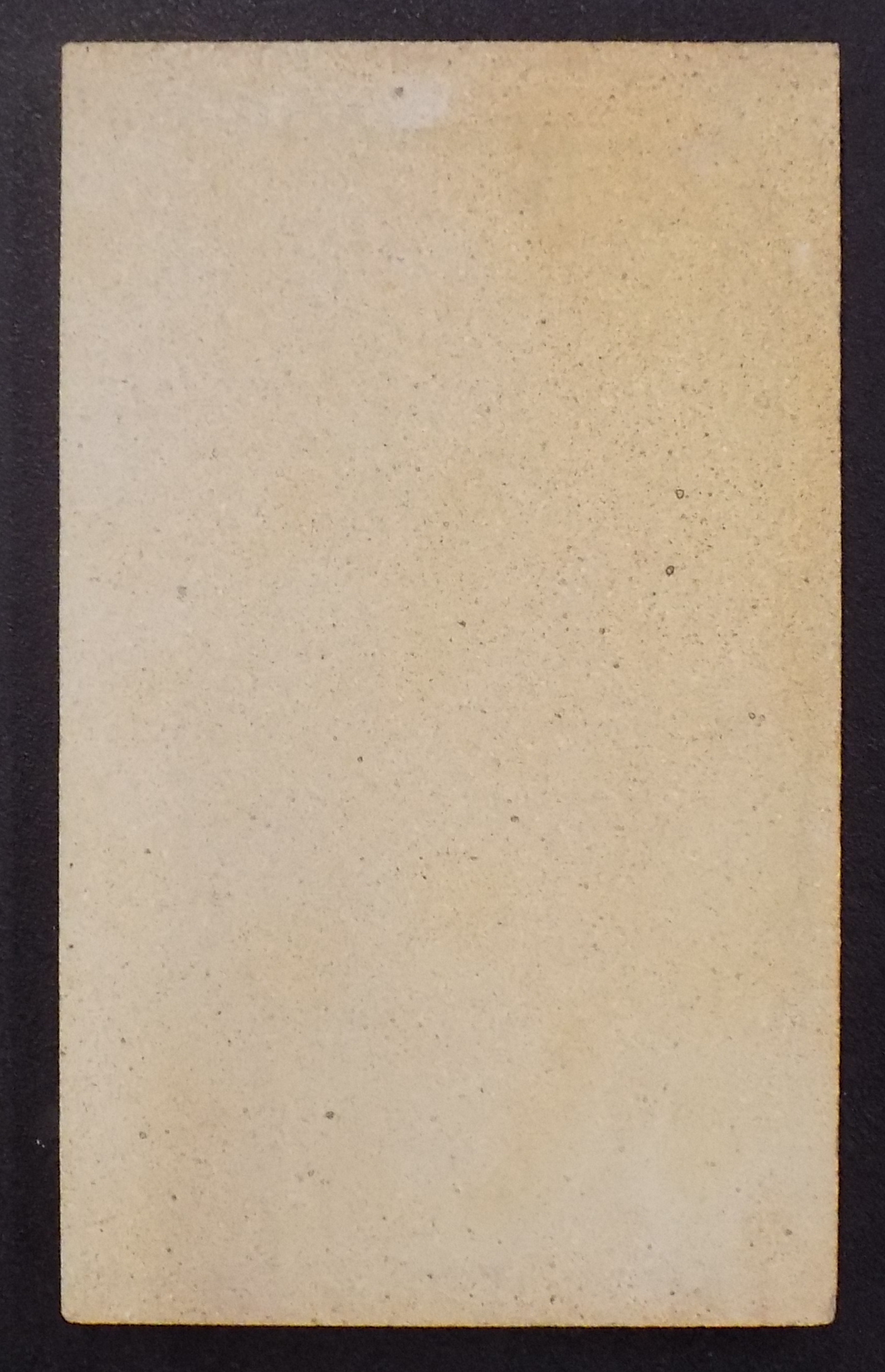Oranier Viking pierre de plaque arrière droit A