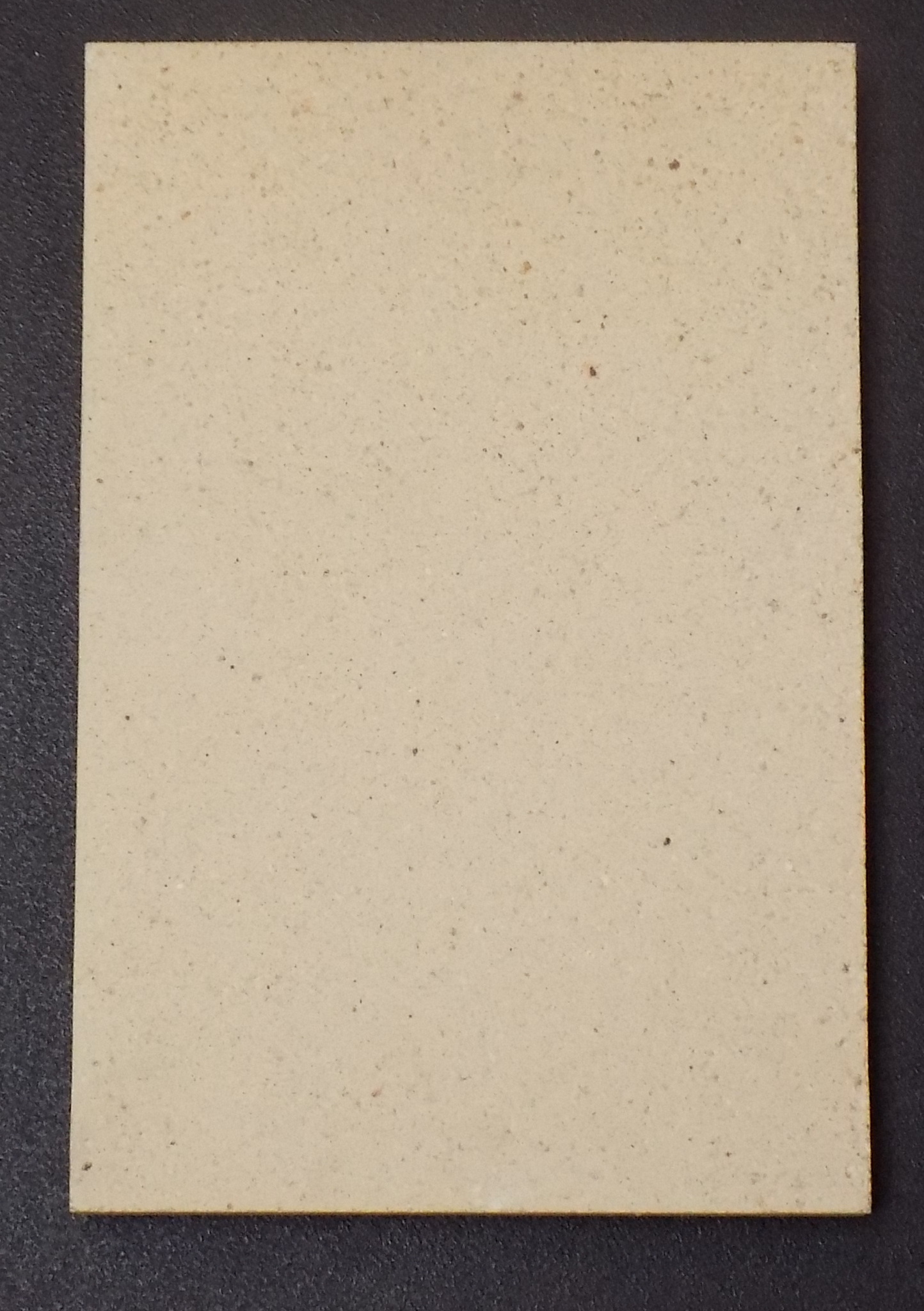 Haas-Sohn Ecoline 281.12 pierre de plaque arrière droit